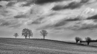 290 - SKAANE LANDSCAPE - HYLLSETH TORHILD - norway <div : Skåne